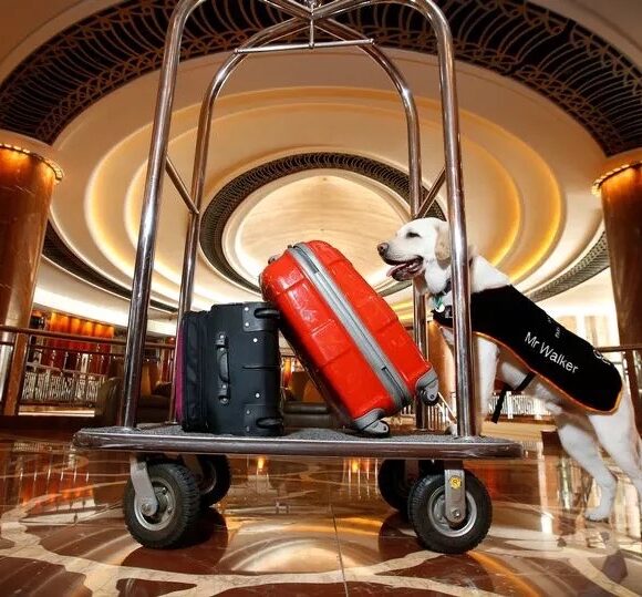 Mr Walker pushing a hotel trolley loaded with some suitcases in the lobby of Park Hyatt Melbourne.