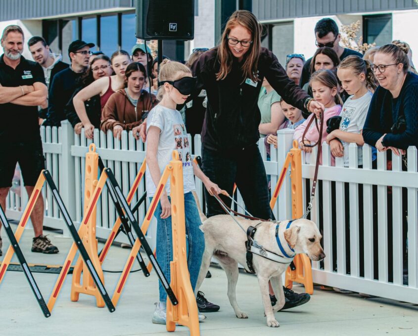A young visitor walks with a Guide Dog while blindfolded. She is supported by an Orientation and Mobility instructor.