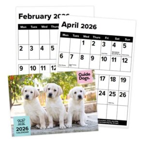 Large A3 2026 calendar with larger space for each date and large lettering. Puppies featured on cover.