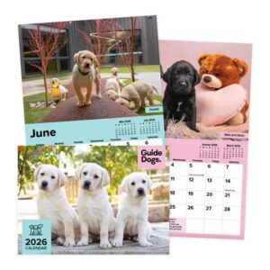 A4 colourful 2026 calendar featuring Guide Dog puppies.