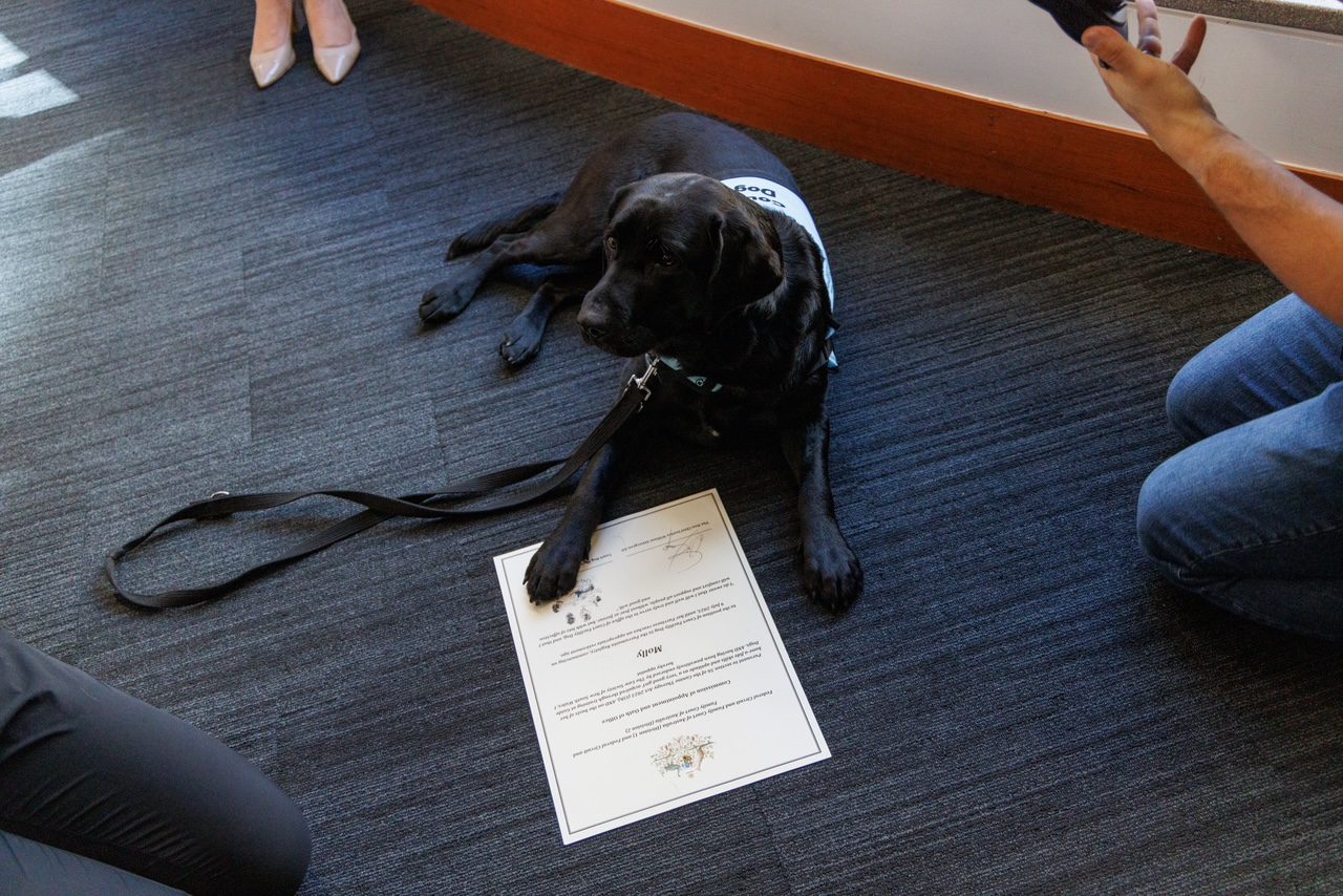 Molly swearing in