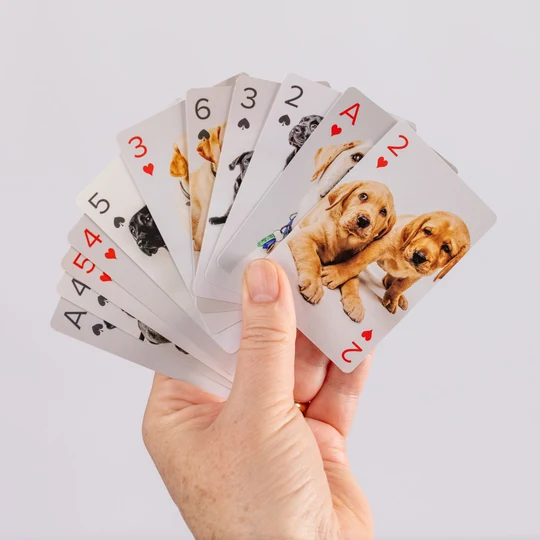Hand holding out guide dogs playing cards.