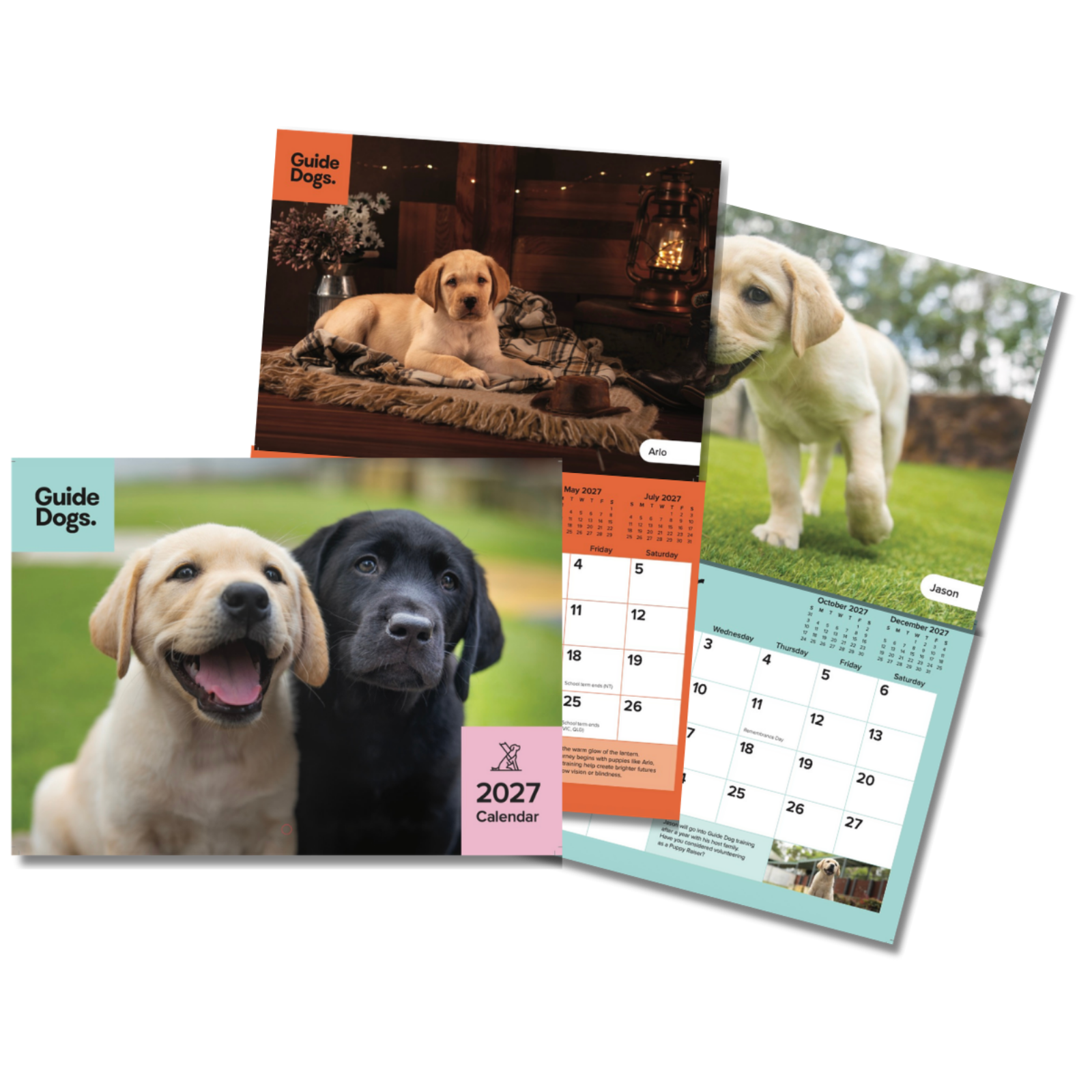 Guide Dogs 2027 Calendar