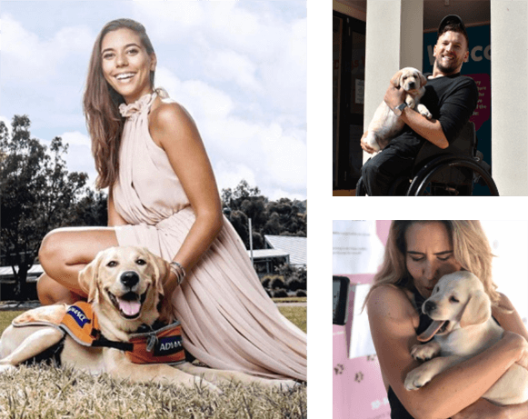 A series of pictures including: Eleanor Baillieu - Guide Dogs Ambassador with a guide dog, as well as a man and woman holding a puppy