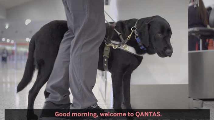 Thumbnail: A man is at the airport with a Guide Dog
