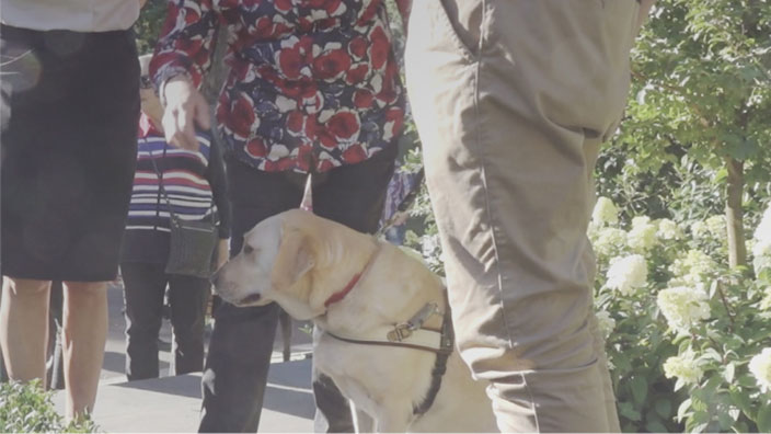 Thumbnail: A Guide Dog and its handler stand outside amidst a crowd of people at the Melbourne Flower and Garden Show