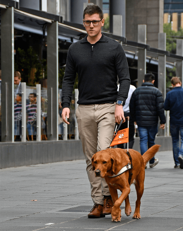A man walking a Guide Dog on the street