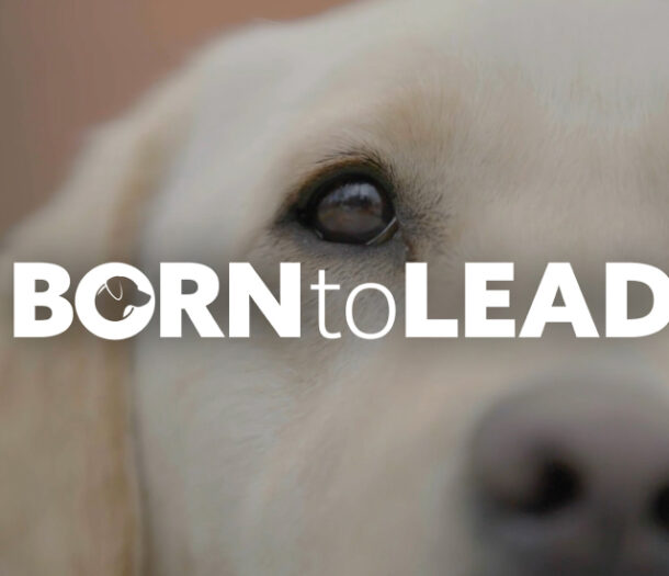 Born to lead