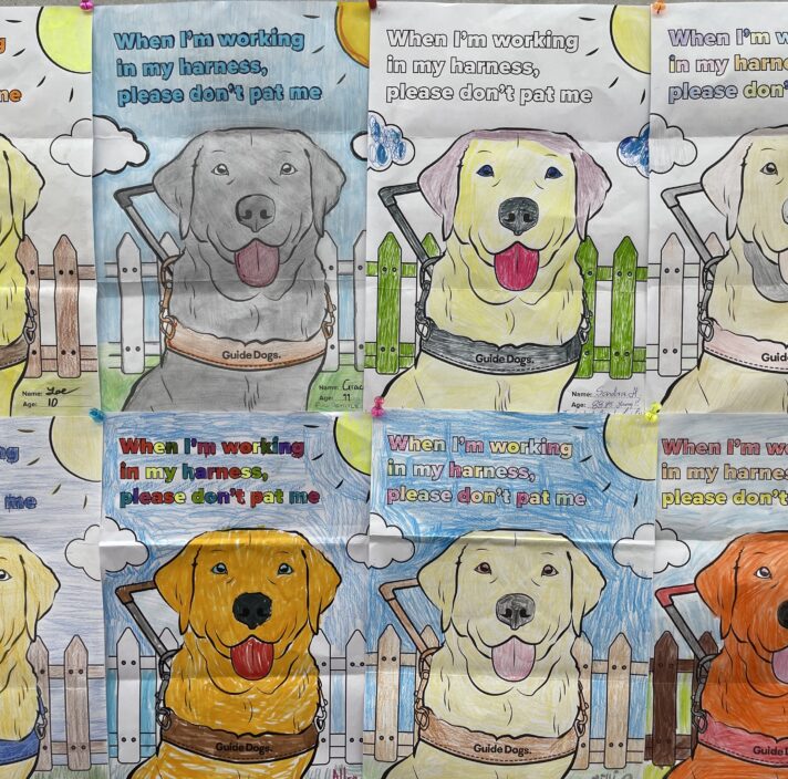 colourig in competition posters which have been coloured with pencils