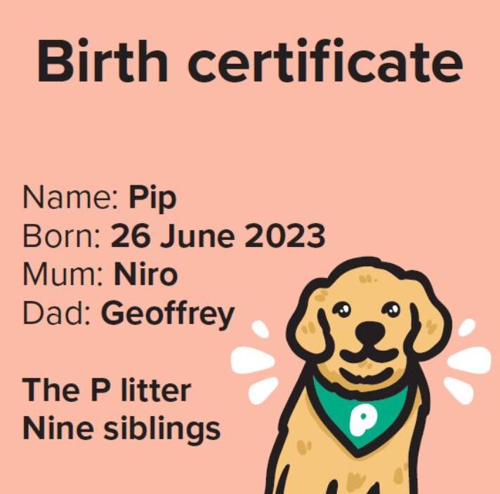 A birth certificate. Text reads: name: Pip Born: 26 June 2023, Mum: Niro, Dad: Geoffrey