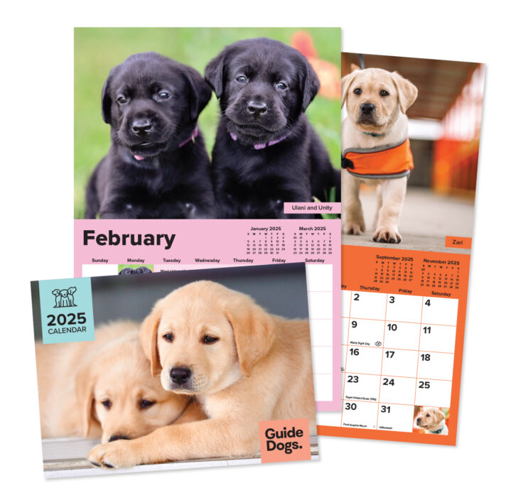 A product image of the Guide Dogs 2025 calendar.