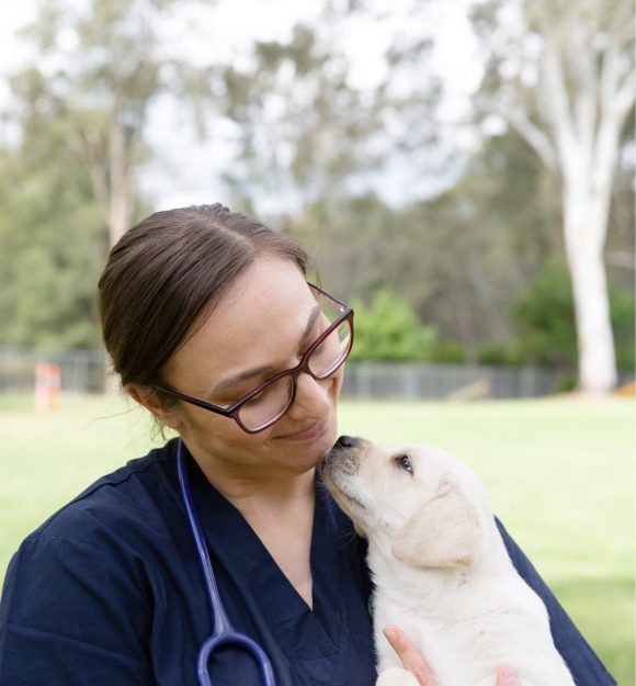 A vet looking down at a yellow Labrador puppy, who is sniffing her face.