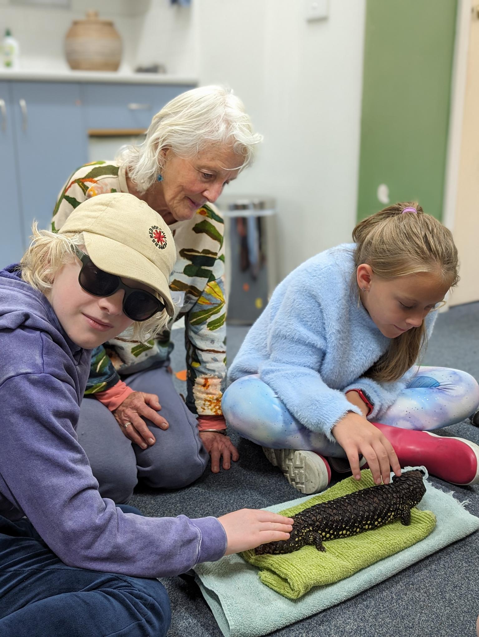 Two participants gently touching the back of a Shingle back lizard.