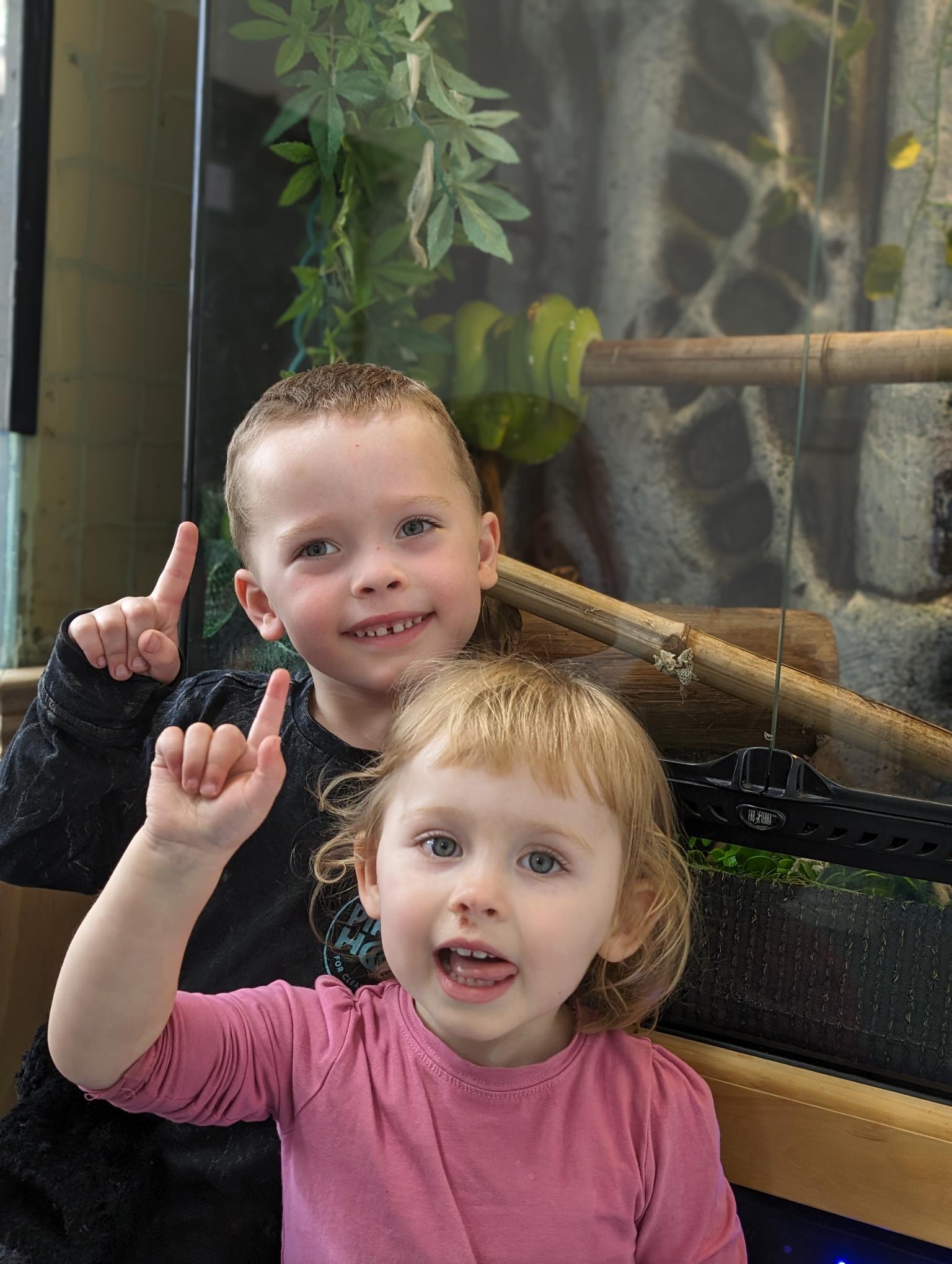 Two participants pointing at the green snake in a glass enclosure.