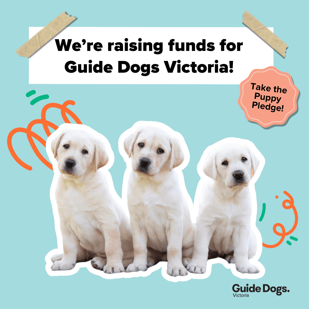 Expanding How We Support People: Welcoming Audiology to Guide Dogs Victoria