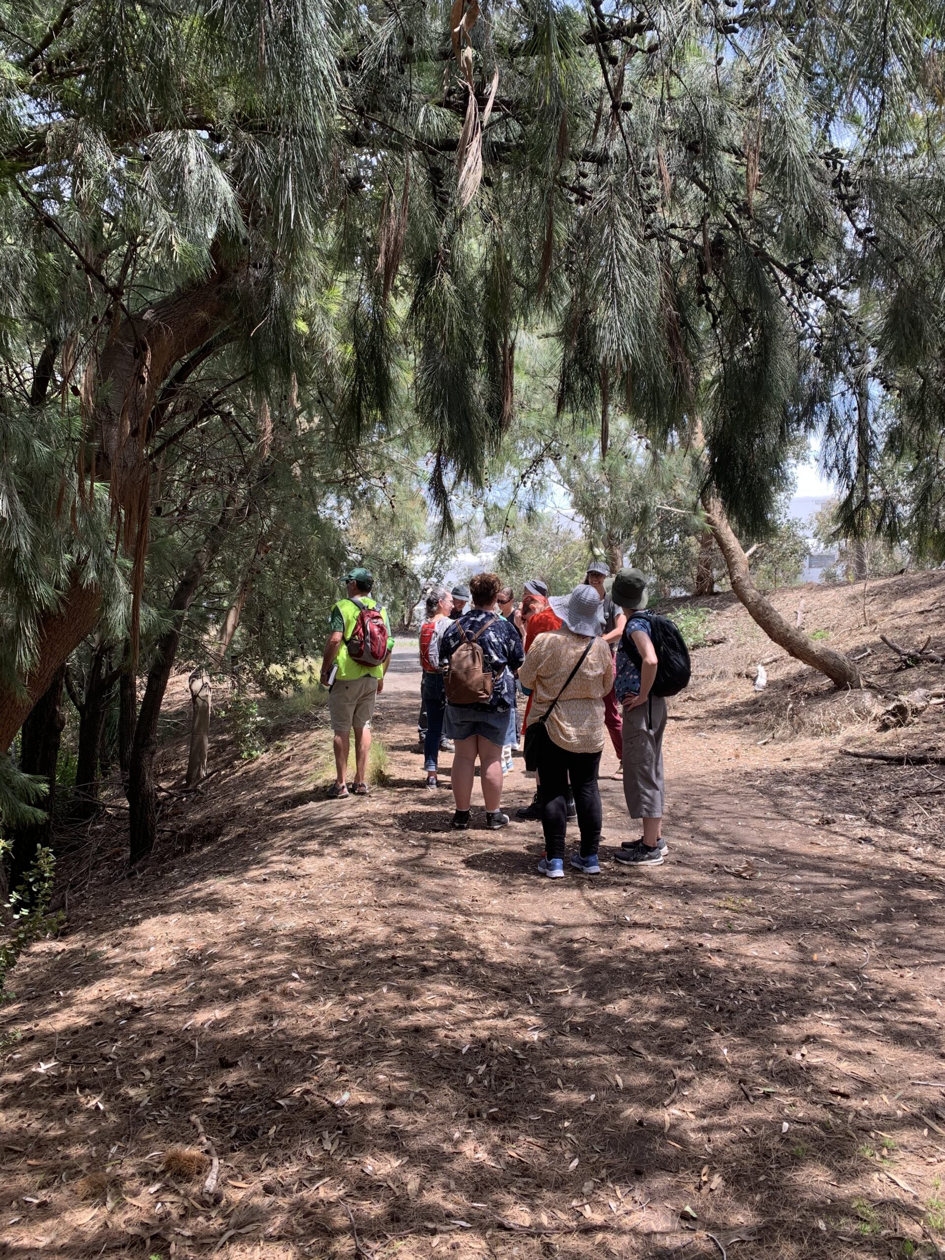 A group of people on a walking track under trees