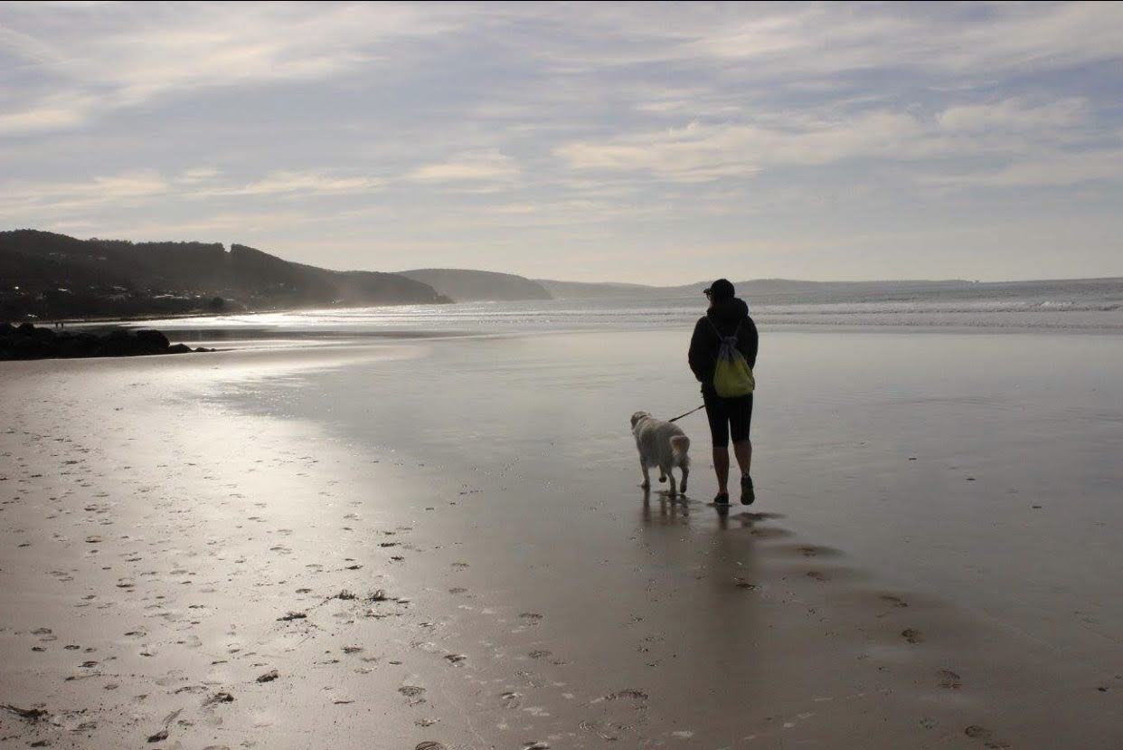 Al and Charlie walking along the beach.