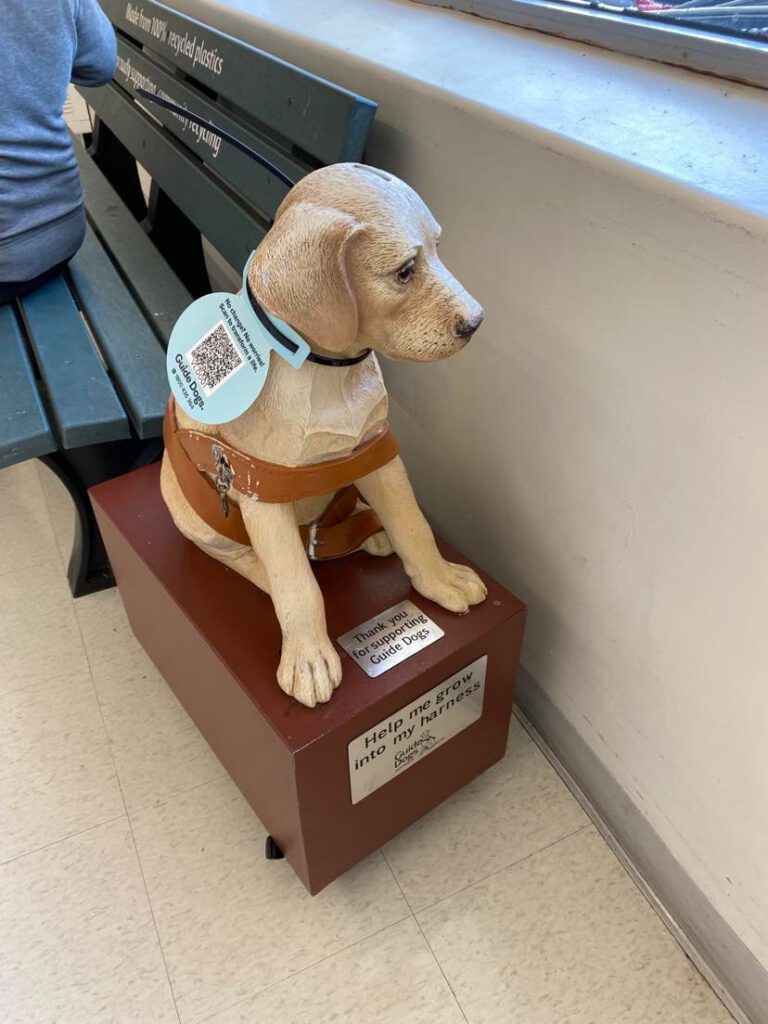 It just got easier to donate to our iconic Donation Dogs