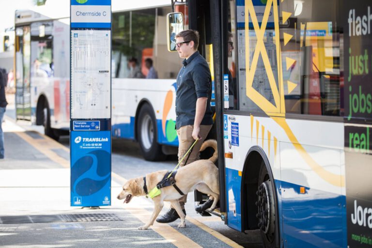 Why now is a good time to think about a Guide Dog
