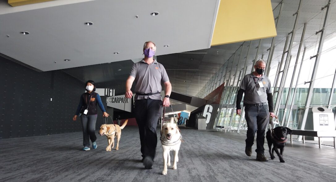 Guide Dog Trainers working with dogs in the MCEC