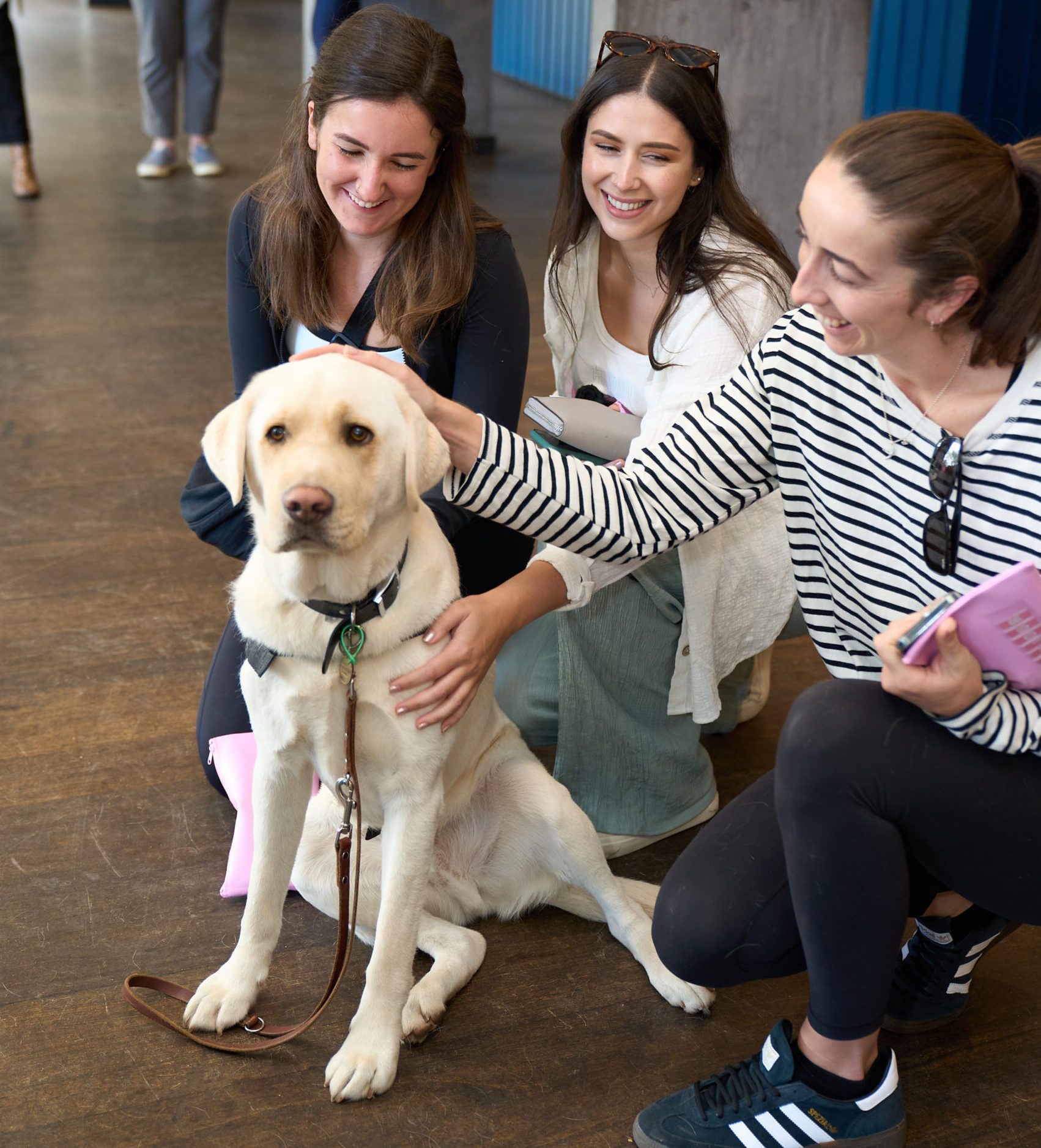 Yellow Labrador Lockie sits in the middle of three people, smiling and patting him.