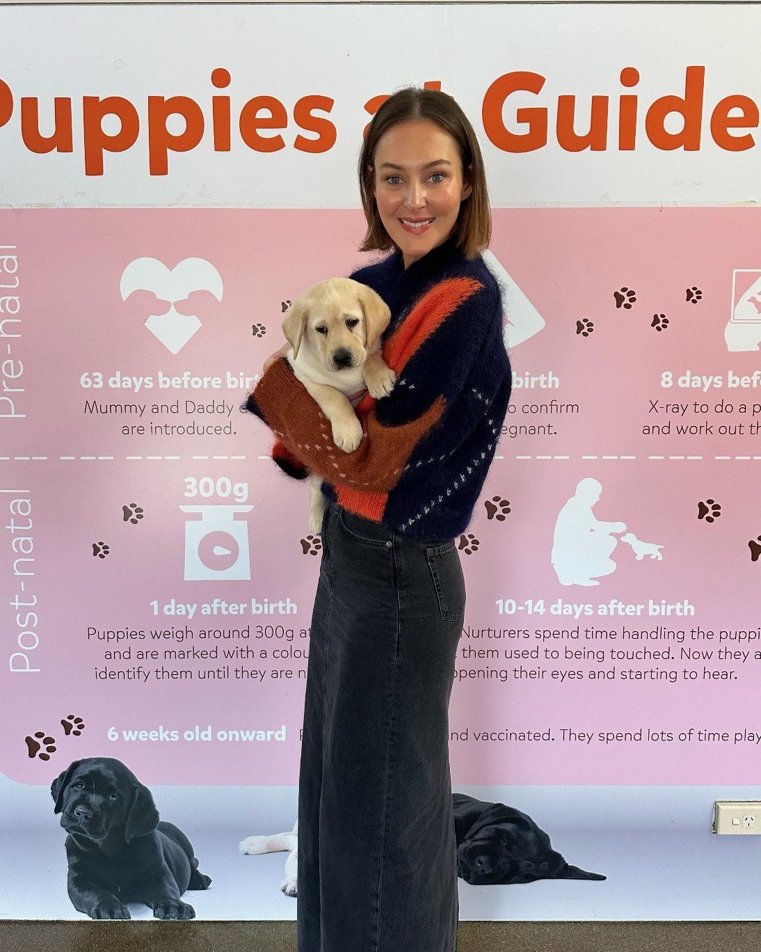 Maddie Spark standing in the Guide Dogs nursery, holding a yellow Labrador puppy.