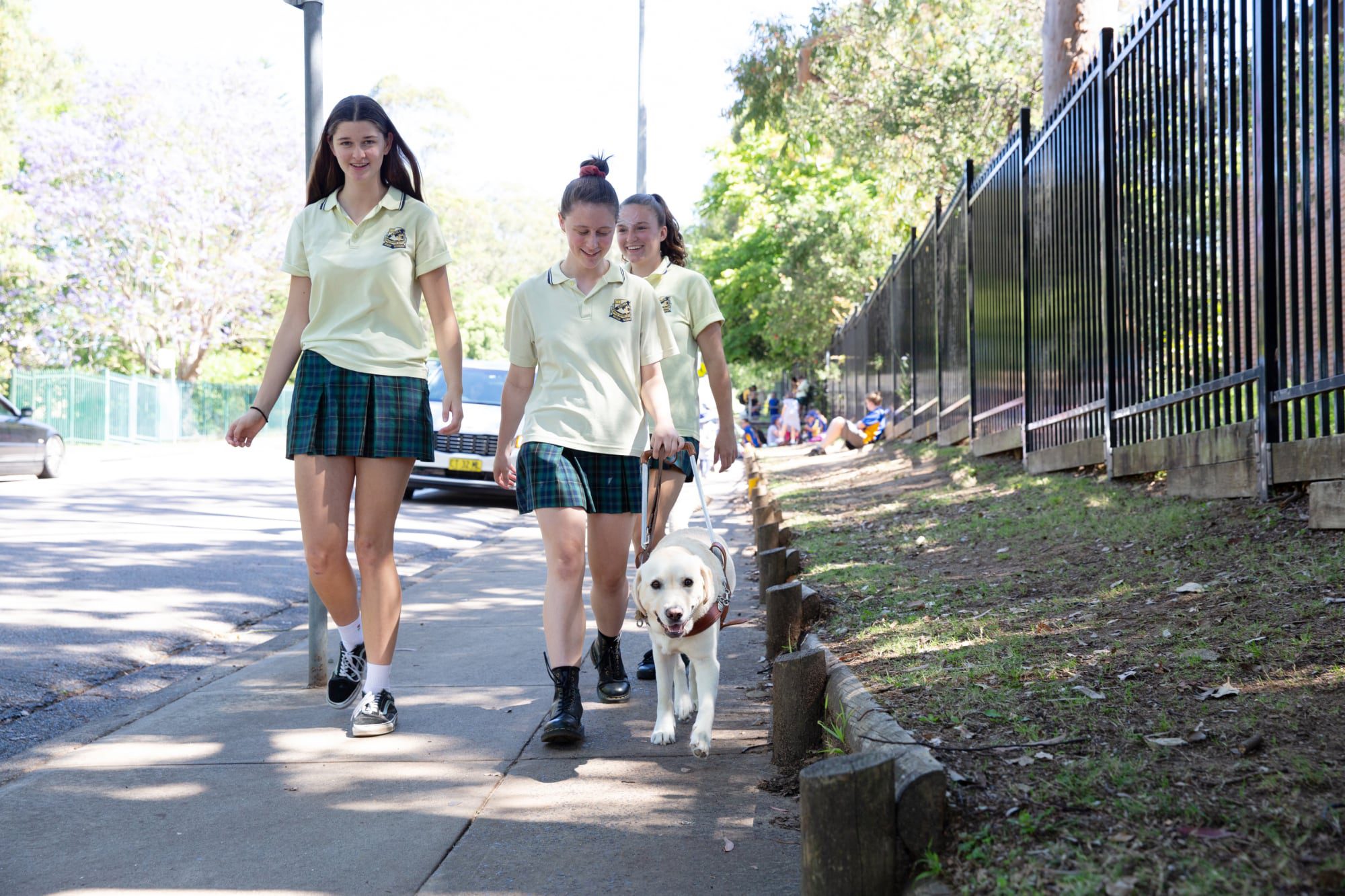 Three young adults walking down the street with a yellow labrador Guide Dog in harness.