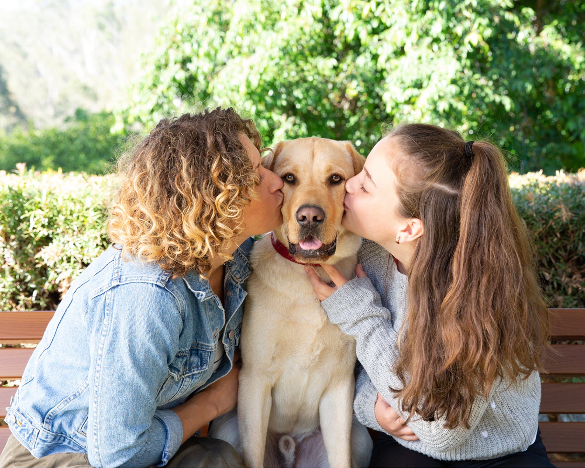 Two people kissing the cheeks of a yellow labrador dog. The dog is seated in between the two people and is looking at the camera.