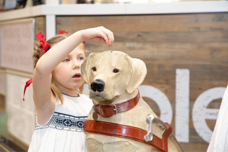 Host A Collection Dog.