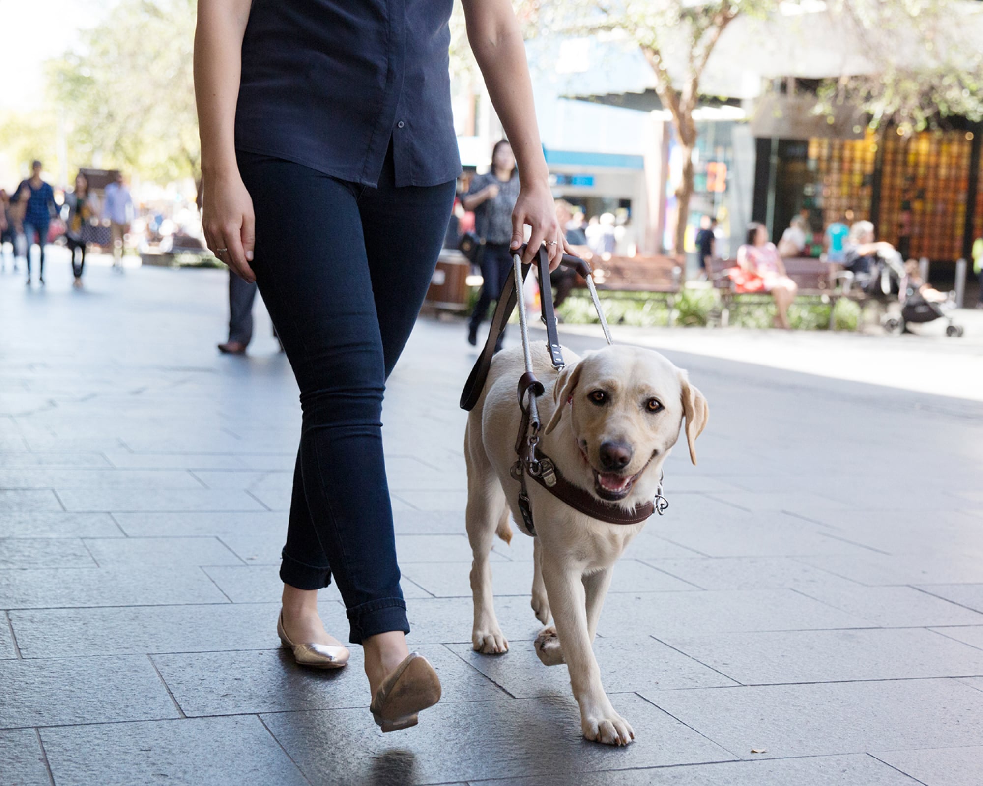 A person walking down the street with their yellow labrador Guide Dog who is in a harness.