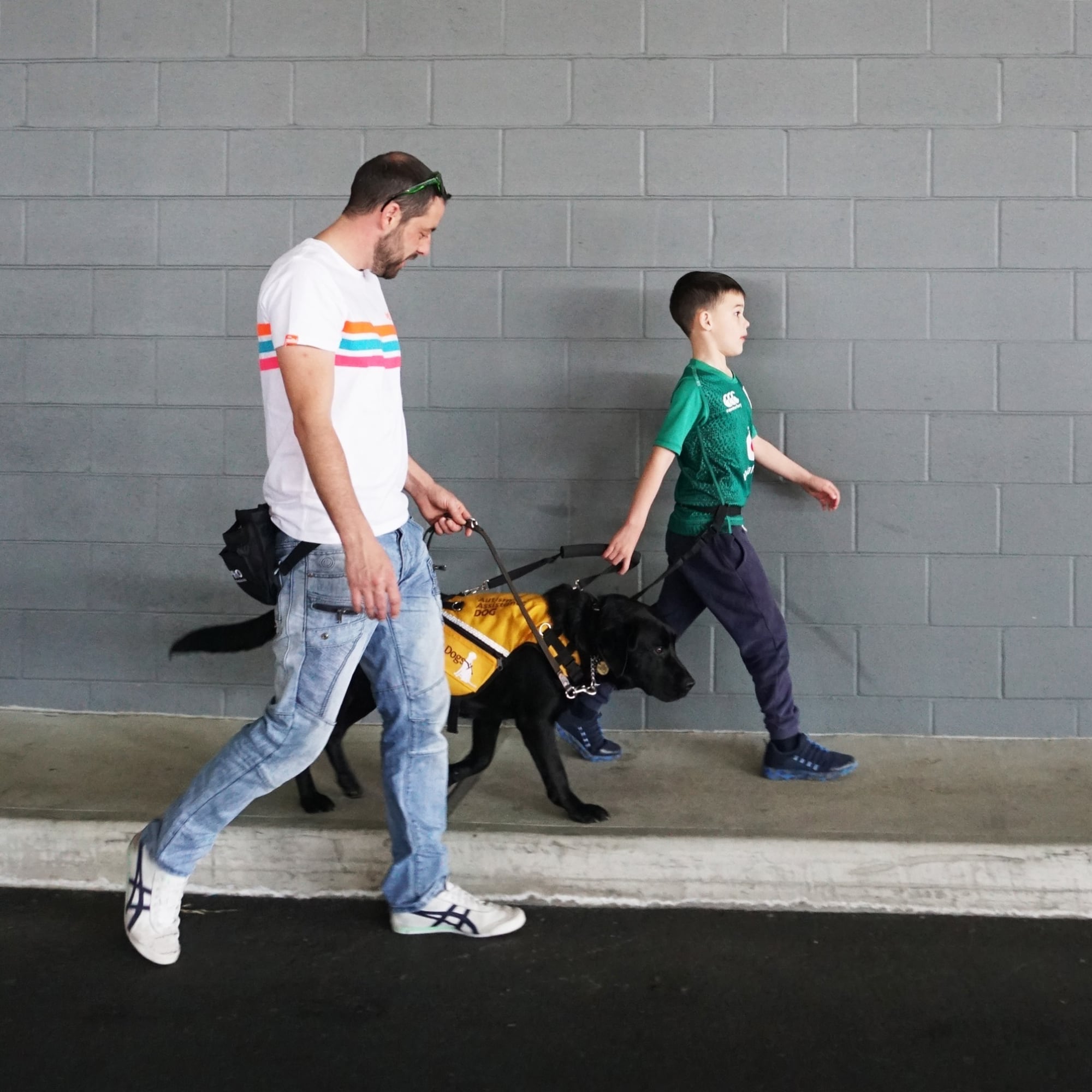 A man and a young child walking along a street. The child and man are holding the leash of a black labrador dog who is wearing an Autism Assistance Dog jacket.