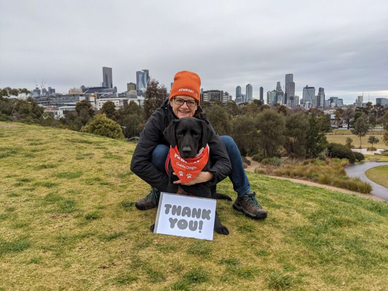Fur-gotten friends: Aussie dogs acting up as owners return to office
