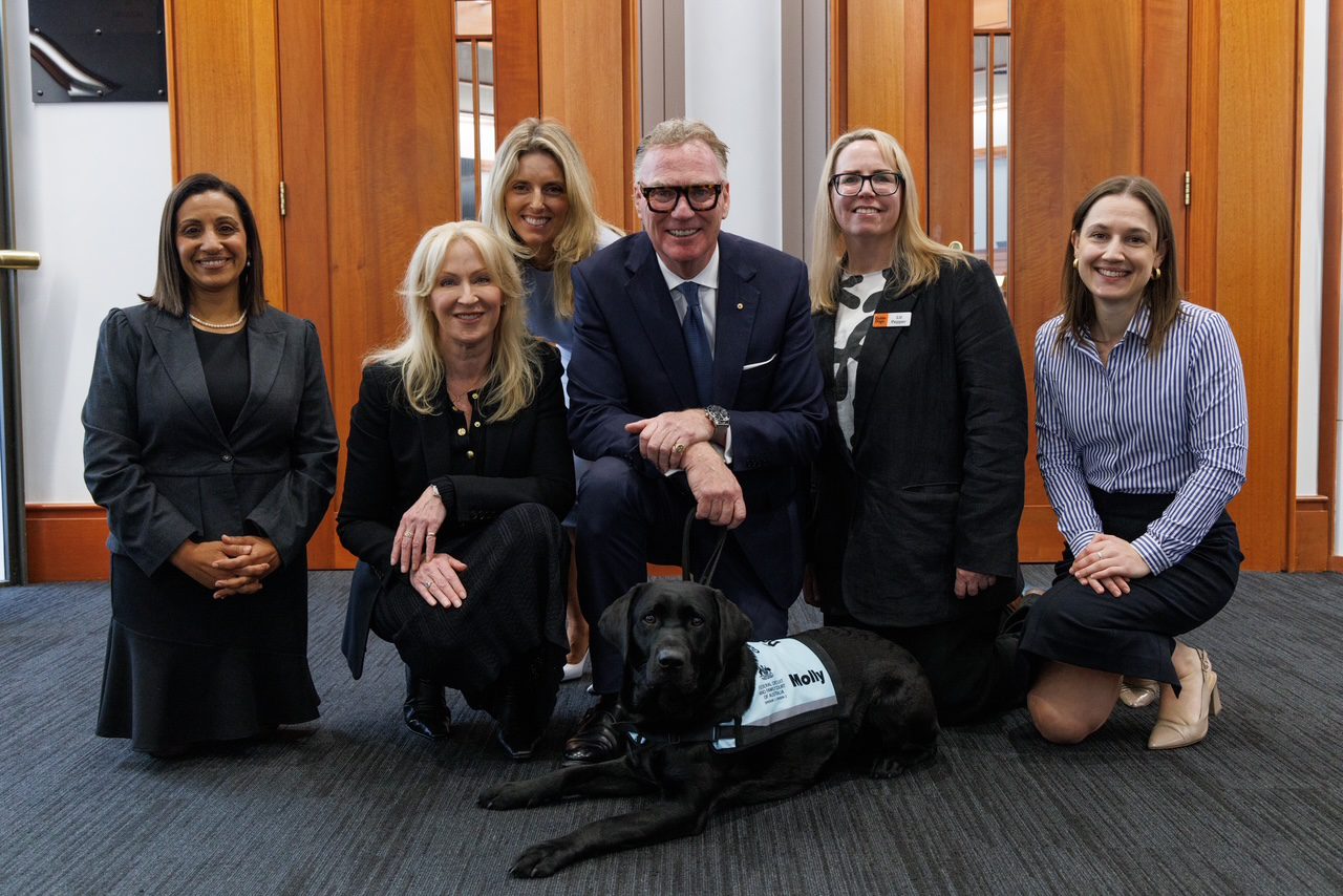 Molly, Lani and Sunny Sworn In: New Court Dogs Join the National Program in NSW