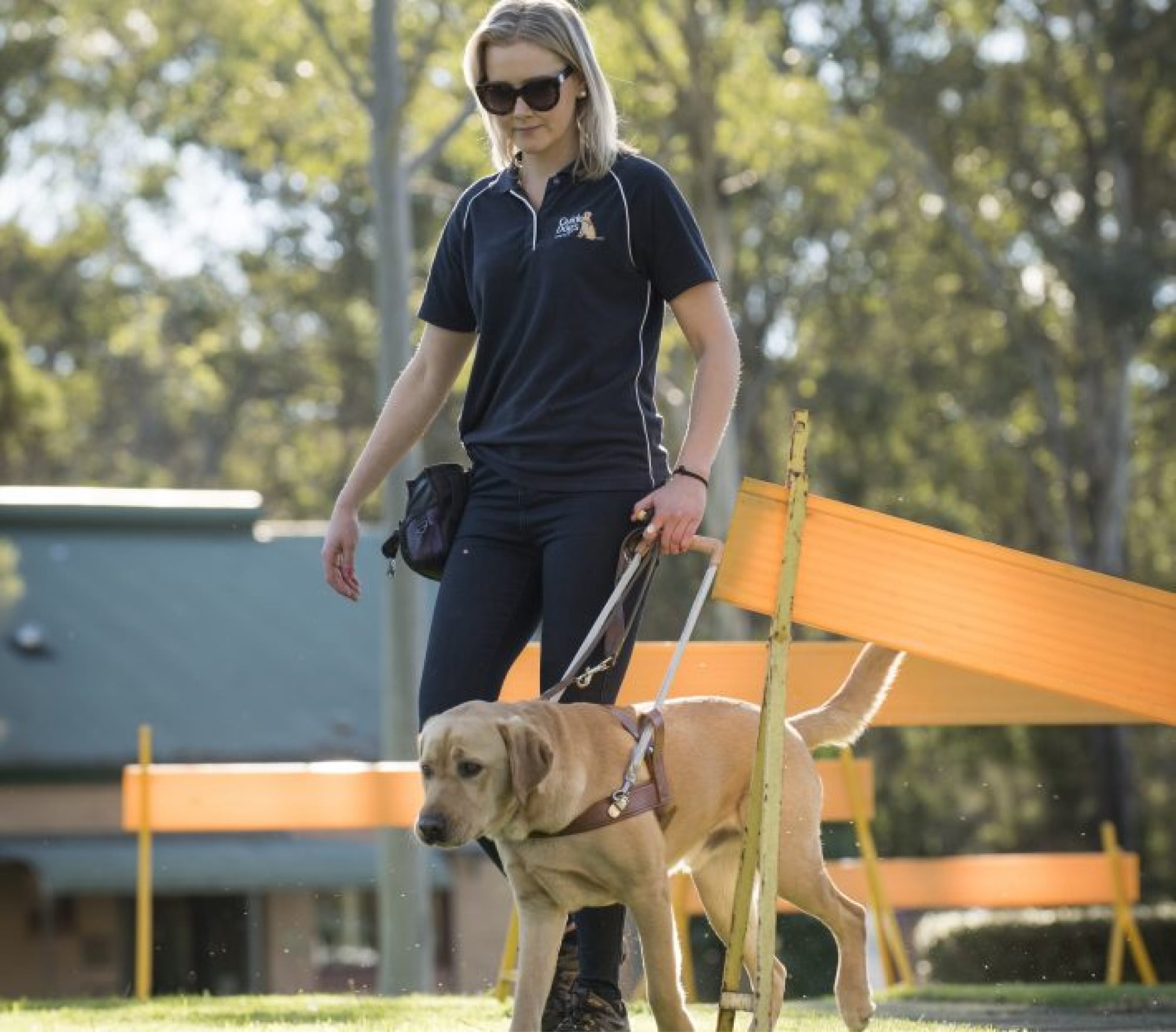 A Guide Dogs staff member walking outside with a yellow labrador Guide Dog in harness. The staff member is looking at the dog and the dog is looking at the path ahead.