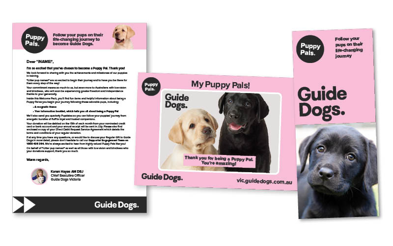 A letter and cards with Labrador puppies on them