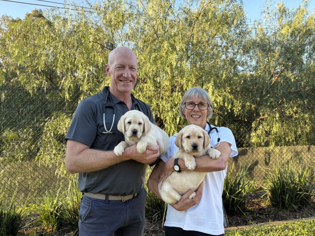 Changes to our Veterinarian Team: Thank you Dr Ann and Welcome Dr Andrew