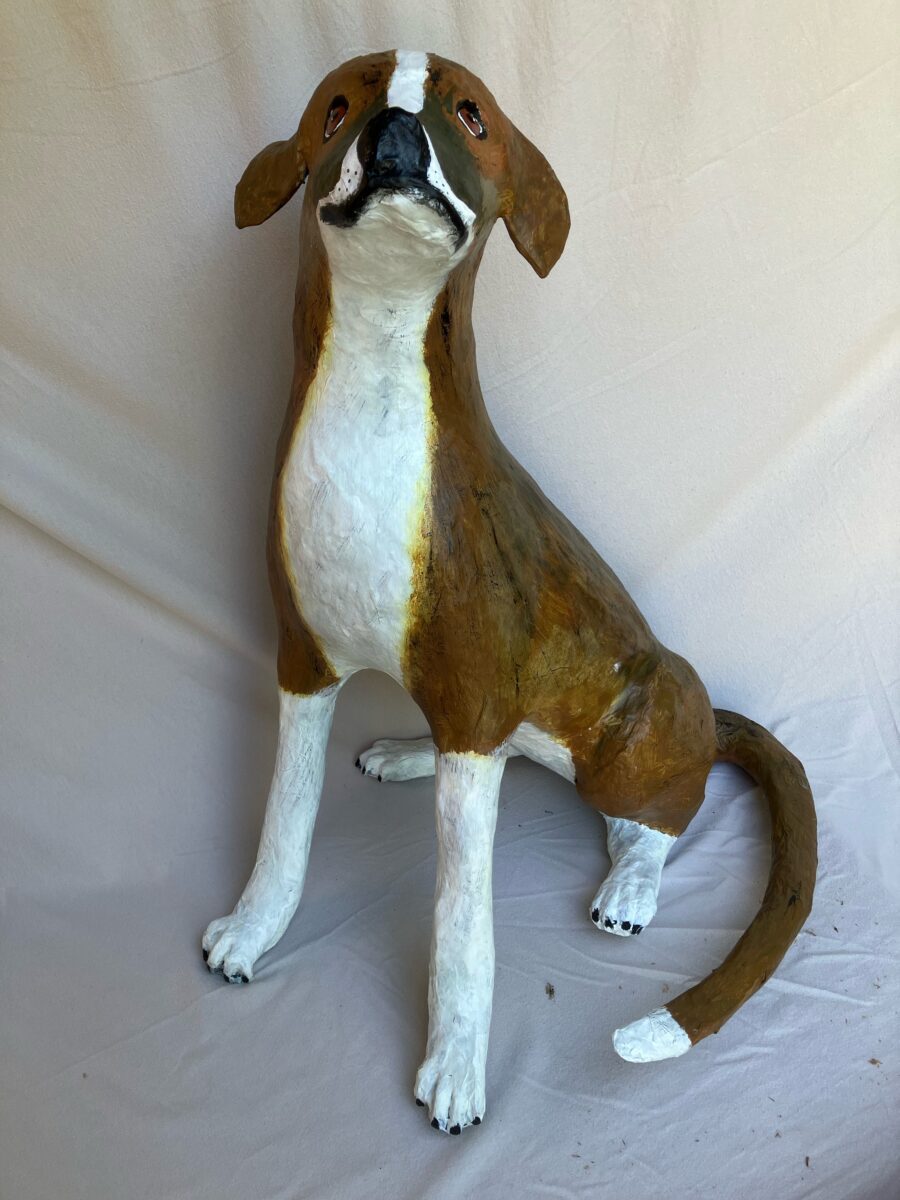 Paper mache sculpture of a dog sitting with brown fur and white belly, legs, and tail tip, head tilted upward and ears flopped back.