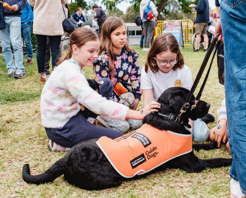 Community Fair dog pats