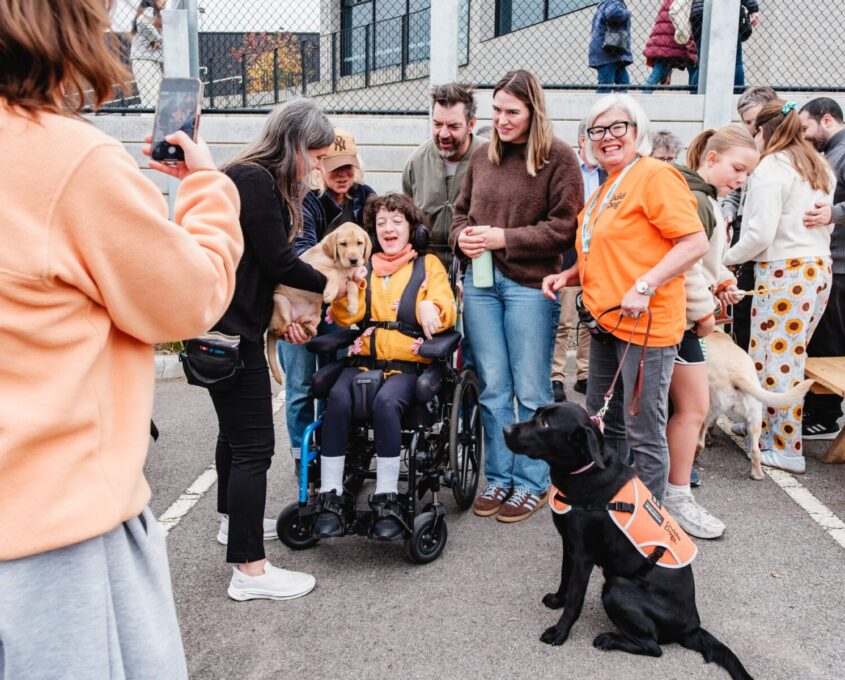 Community Fair visitor in wheelchair