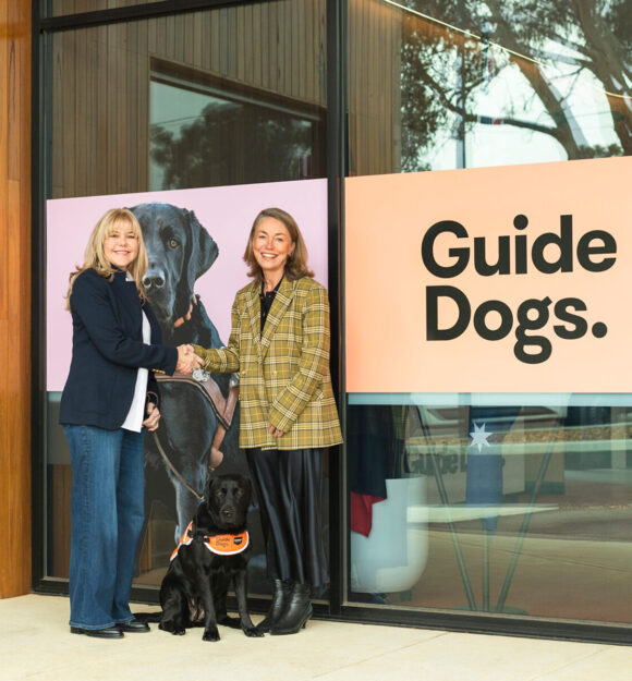 Houndztooth Partnership