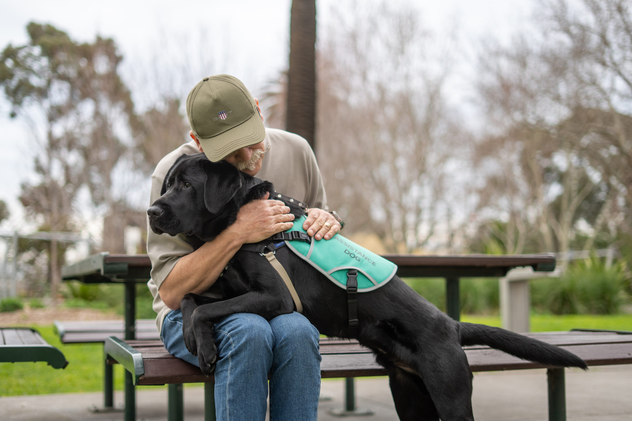 An older man wearing a khaki cap, beige shirt and blue jeans sits on a wooden park bench, embracing a large black Labrador wearing a turquoise vest labelled “Assistance Dog”. He rests his head affectionately against the dog while gently holding it around the shoulders. The dog lies across his lap, looking to the left. The background features green grass, trees and park seating in soft focus, creating a peaceful outdoor setting.