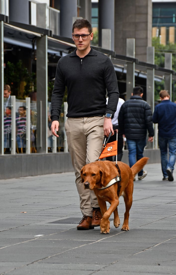A man is walking with a golden Labrador Guide Dog down a city street