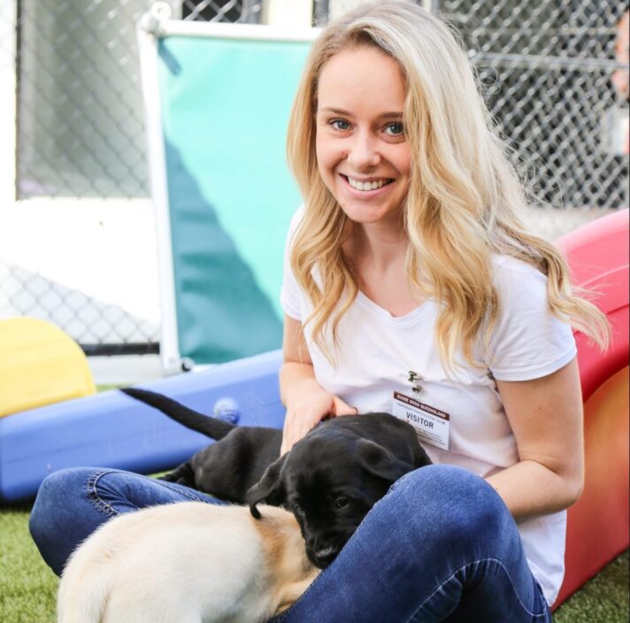 A person sitting outside smiling at the camera while two eight week old puppies, one yellow and one black, play together in their lap.