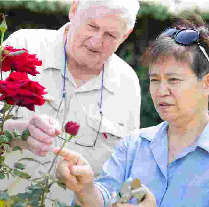 Two people looking at some flowers in a garden.