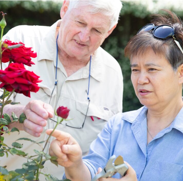 Two people looking at some flowers in a garden.