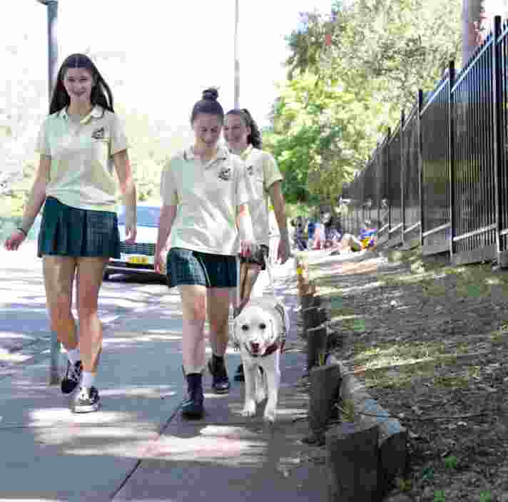 Three young adults walking down the street with a yellow labrador Guide Dog in harness.