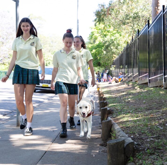 Three young adults walking down the street with a yellow labrador Guide Dog in harness.