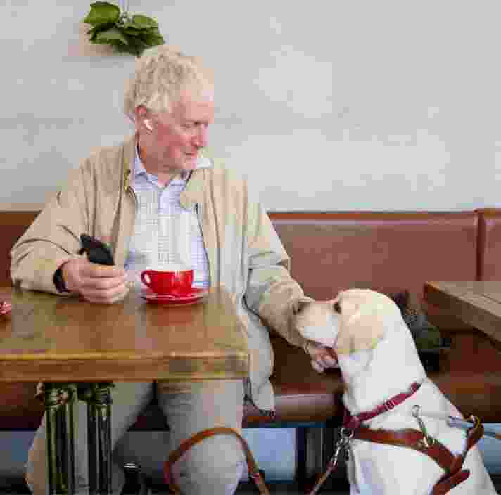 A person seated at a cafe table with a yellow labrador Guide Dog in harness seated next to their table. The person is reaching down touching the dogs face and the dog is looking up to the person.