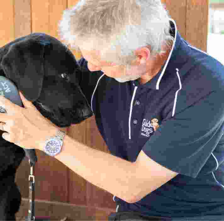A Guide Dogs staff member and a black labrador dog sitting indoors. The staff member is grooming the dogs neck with a brush.