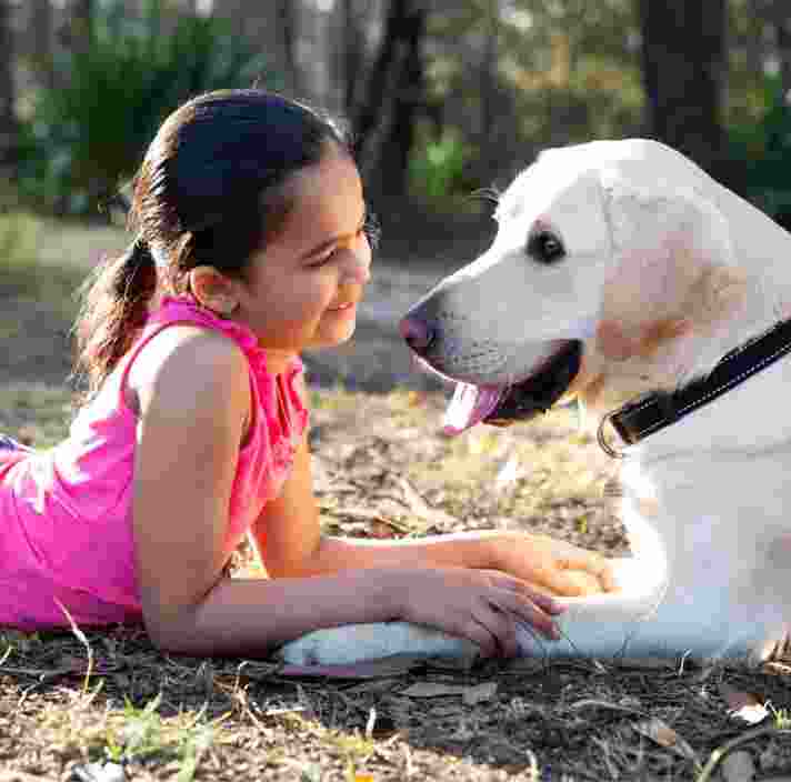A young child laying down looking into the face of a yellow labrador dog with a smile on their face, They are both outside and are sitting facing each other.